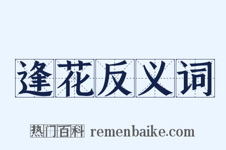 逢花反义词是什么意思的图片